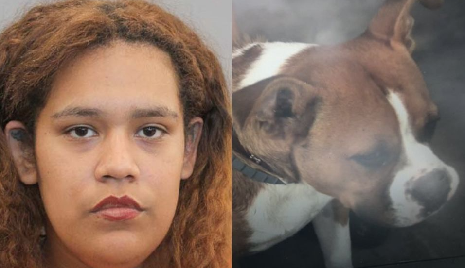 Grave caso en Texas: mujer quiso apuntarle a perro del vecino y terminó baleando a su hijo de 5 años