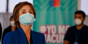 Caso Delta: sin Enrique Paris, Minsal evitó referirse a posible responsabilidad sanitaria y política