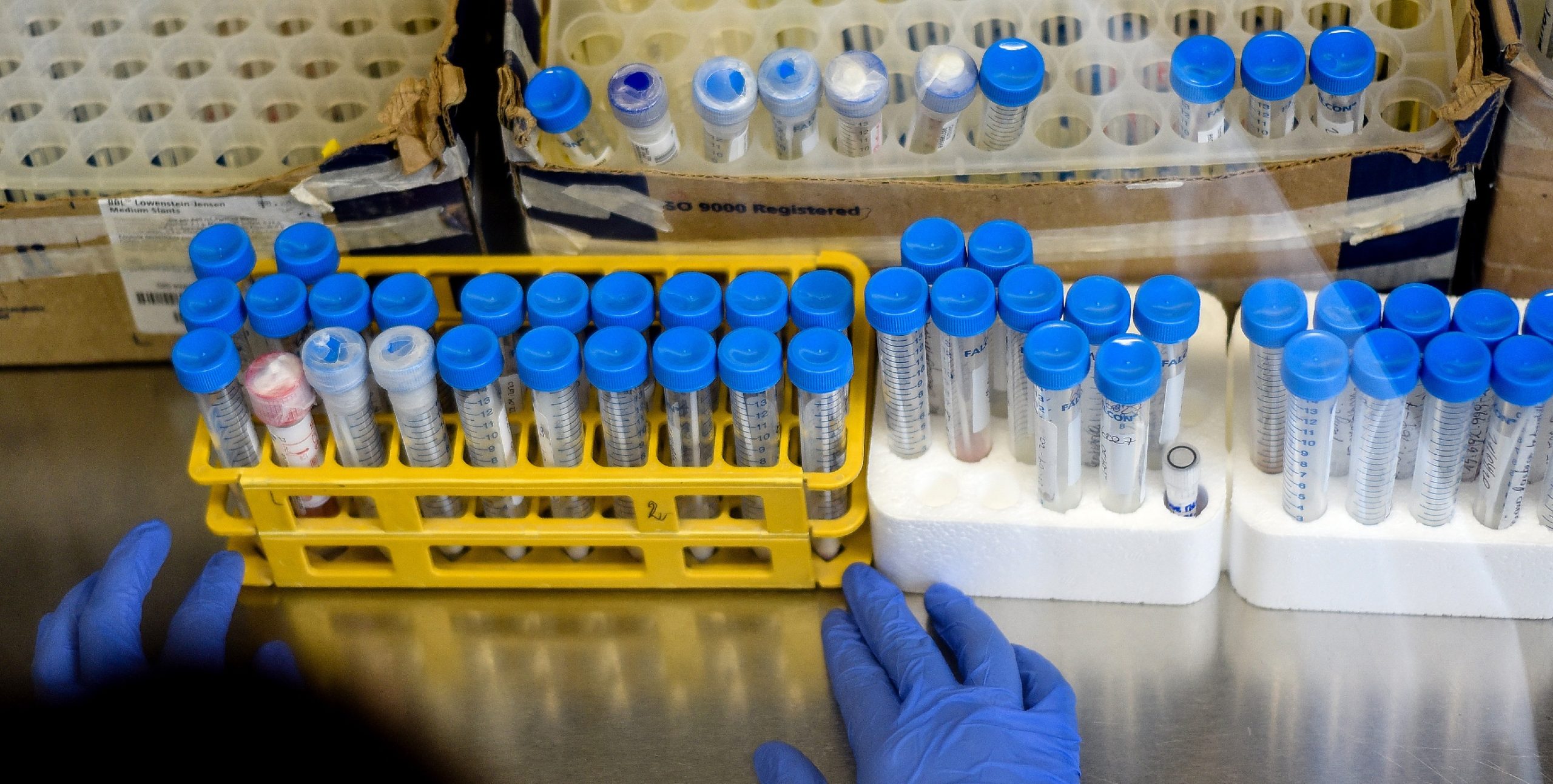 Minsal reportó 1.185 nuevos casos de coronavirus y positividad en región Metropolitana bajó al 2%