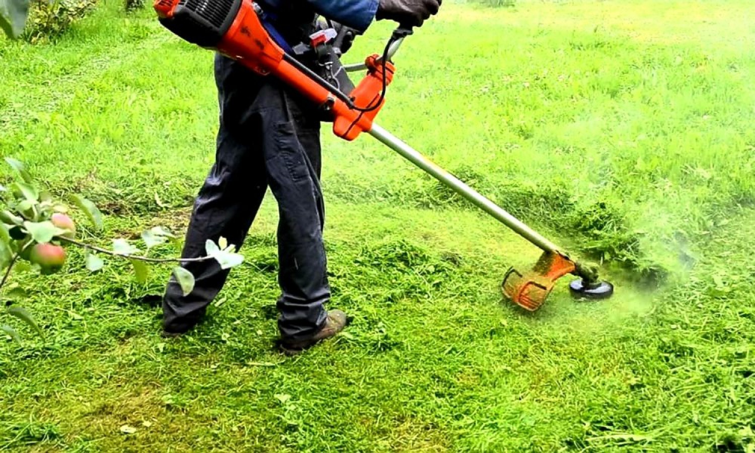 Electricistas o jardineros: plataforma chilena busca reactivar oficios olvidados en la era digital