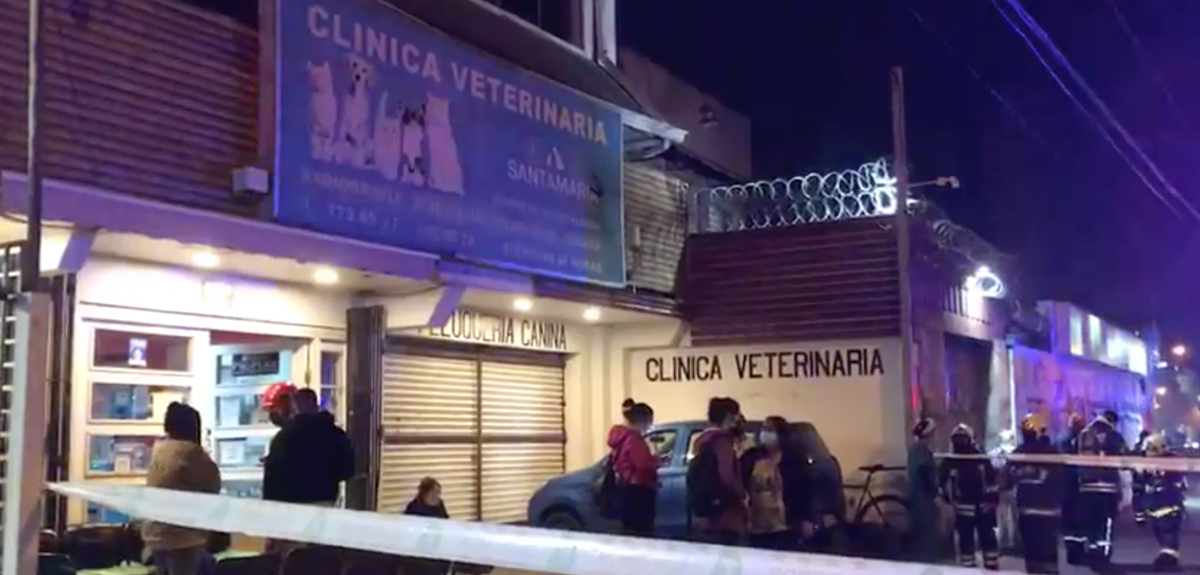 Perro consumió cianuro y desplegó intenso operativo de Bomberos: tuvo que ser sacrificado