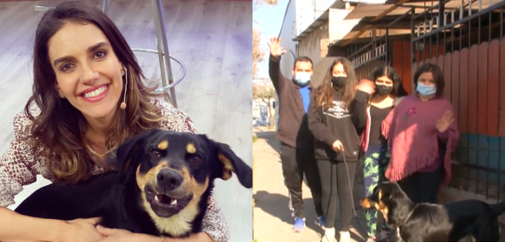 Emotivo reencuentro: María Luisa Godoy devolvió a su dueña el perro que irrumpió en BDAT