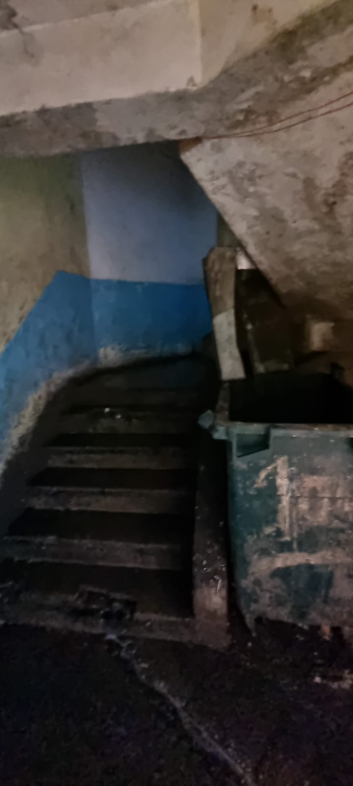 Cedida | Radio Bío Bío