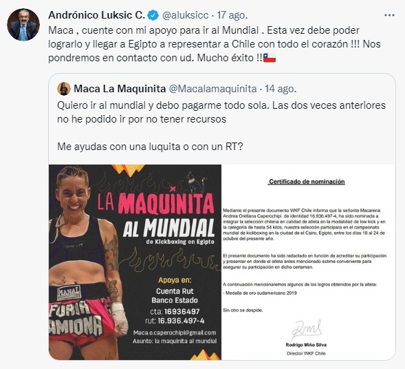 andronico luksic macarena orellana