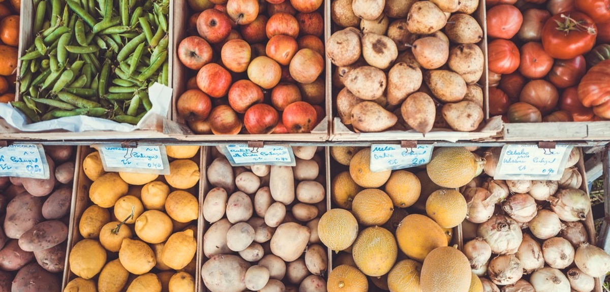 Estudio indica que una dieta rica en frutas y verduras ayudaría a regular el estrés