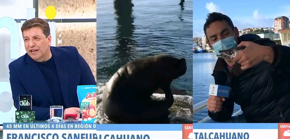 El llamado de atención de Sernapesca a matinal de CHV por 