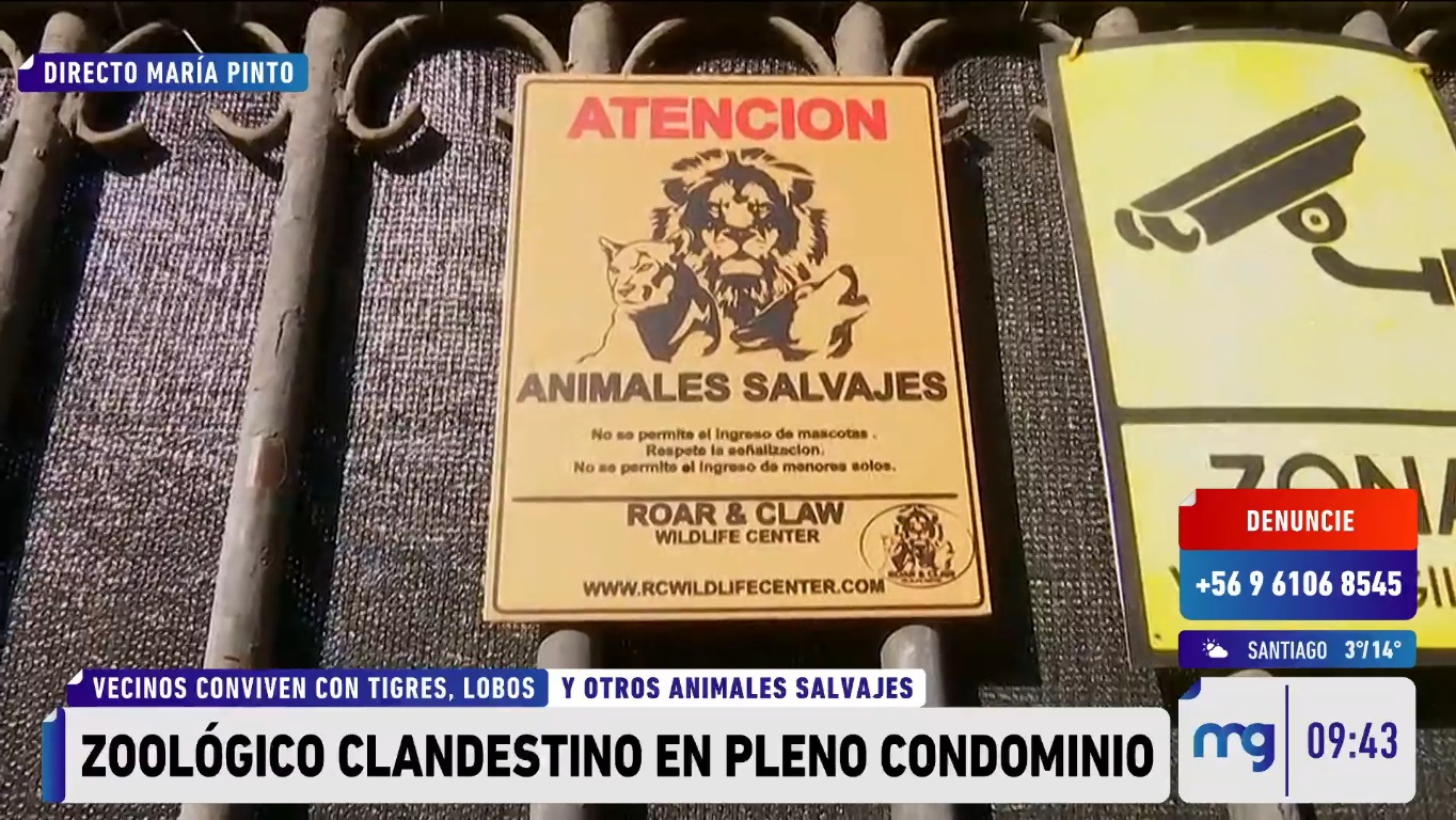 Mucho gusto zoológico