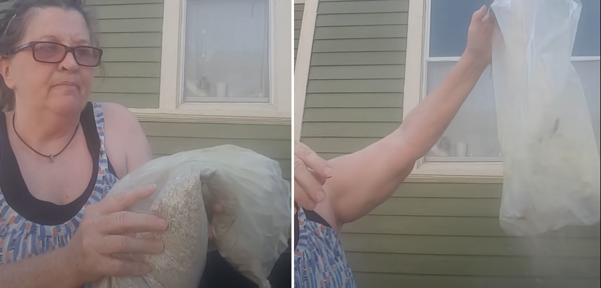 Mujer tiró a la basura cenizas de marido maltratador: 