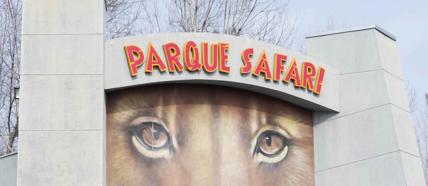 Amiga de joven asesinada por tigre criticó grabación del día del ataque: 