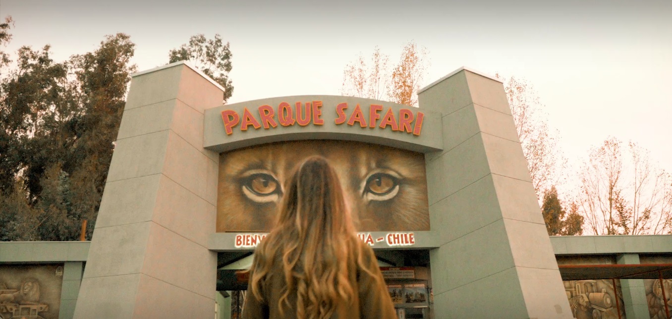 Parque Safari tenía infracciones por falta de medidas de seguridad y no reportar accidente laboral