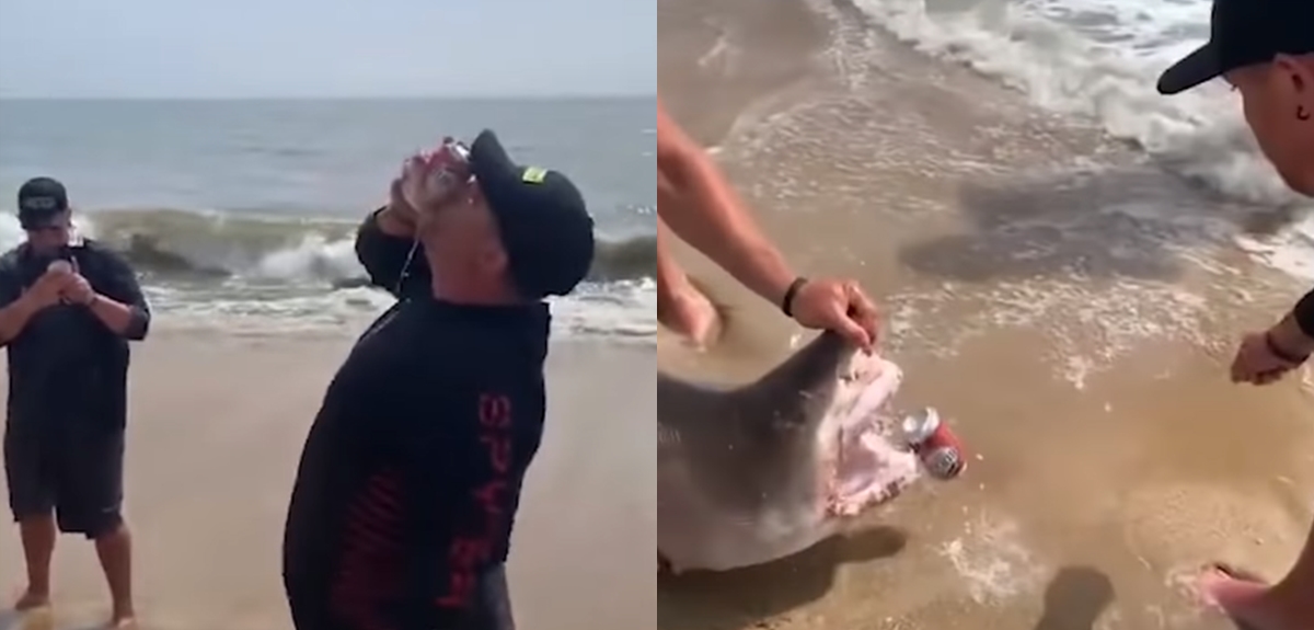 Pescadores usaron tiburón vivo para abrir latas de cerveza en Estados Unidos