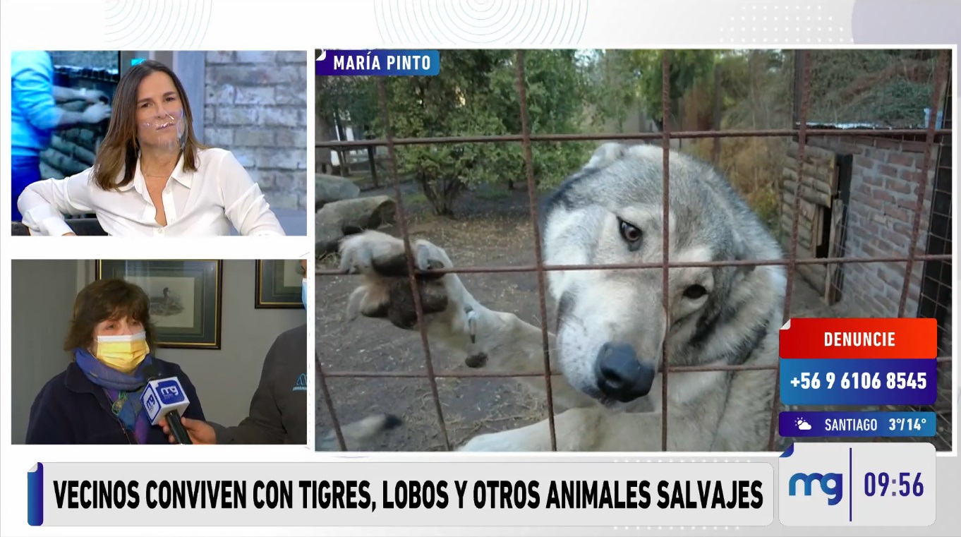 zoológico María Pinto