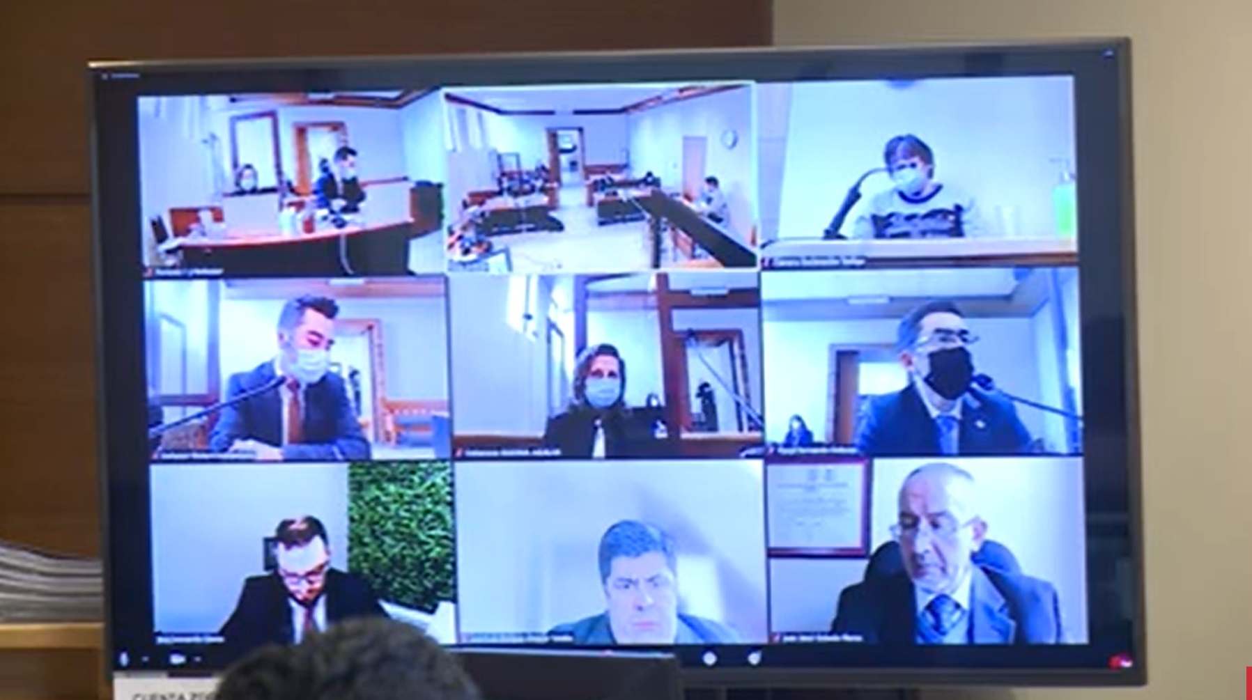 Captura El Pingüino