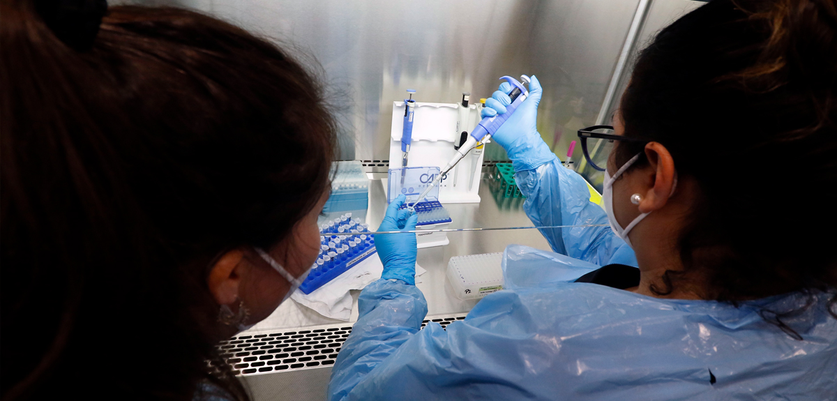 Minsal reportó 491 nuevos casos de COVID-19: positividad alcanzó 1,29% a nivel nacional