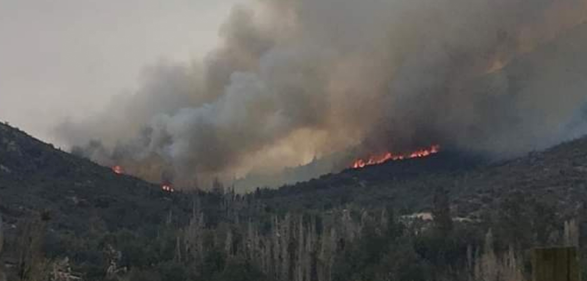 Los impactantes registros de incendio en Til Til: más de 100 hectáreas y 12 viviendas afectadas