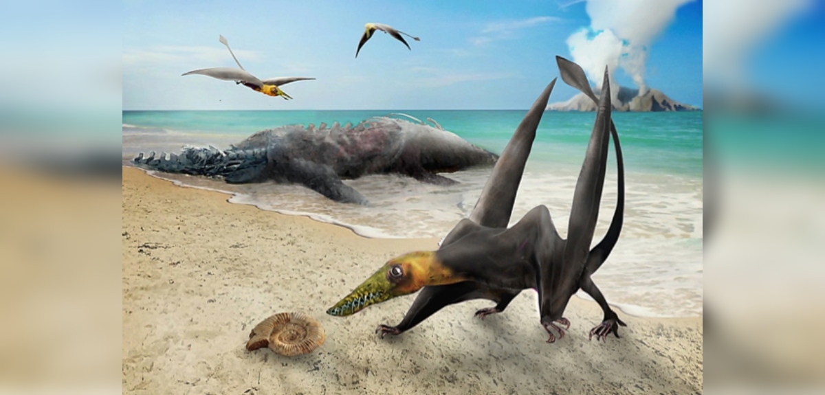 Identifican por primera vez fósiles de un pterosaurio o 