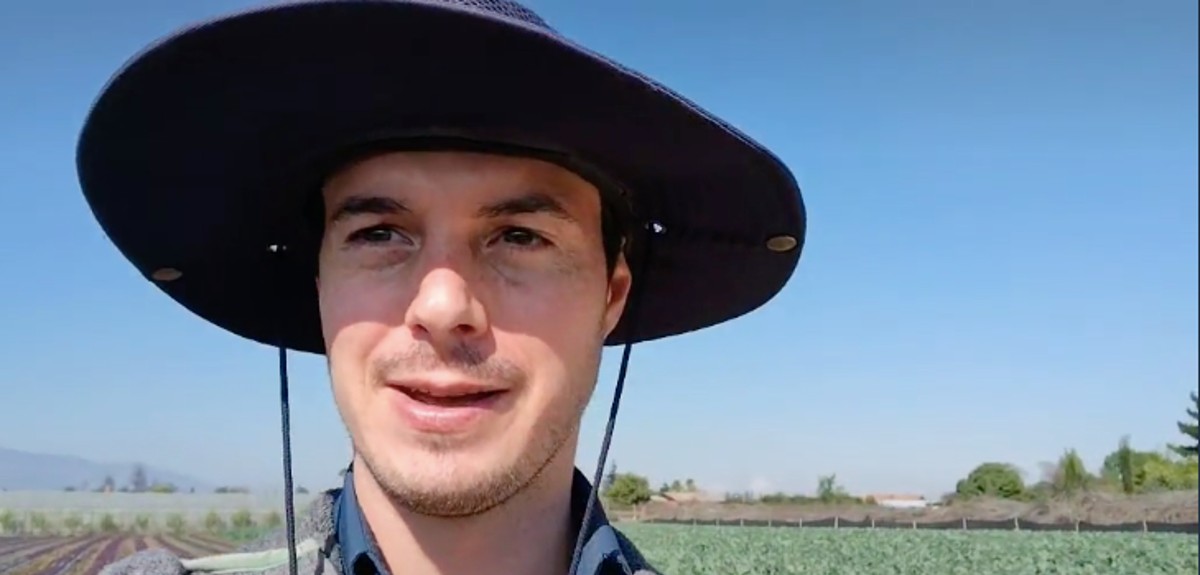Tiktoker chileno se hace viral tras confundir brócoli con coliflor: presumió gran cosecha