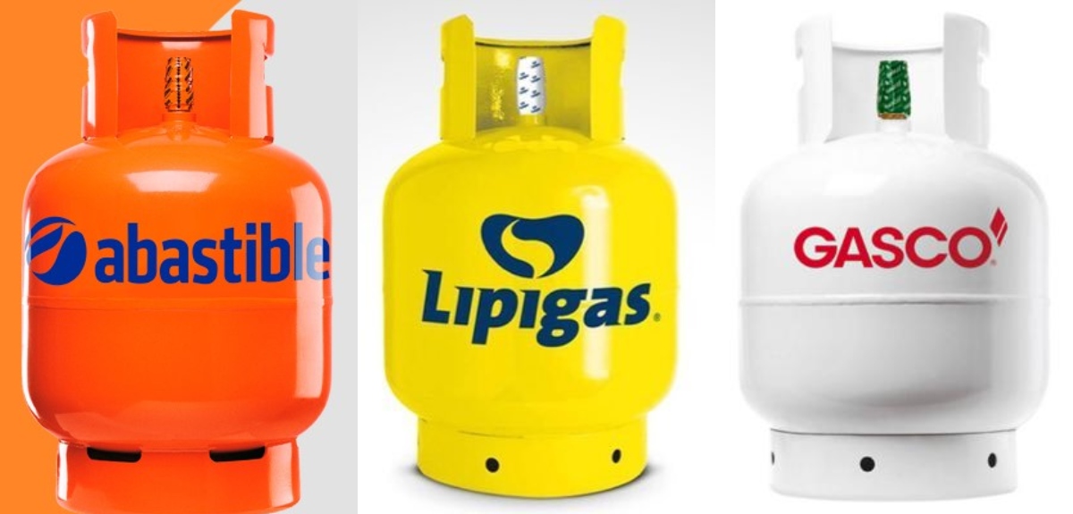 FNE recomienda prohibir que Abastible, Lipigas y Gasco participen en distribución de gas licuado
