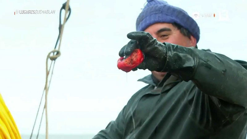 catador lugares que hablan