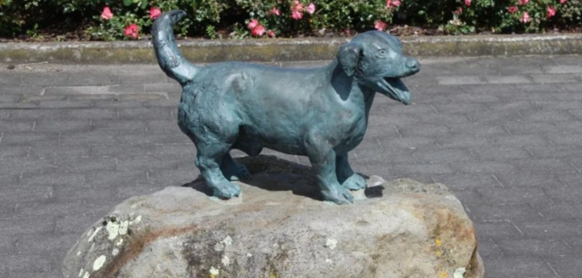 La emotiva historia del perrito George: dio su vida para salvar a 5 niños del ataque de 2 pitbulls