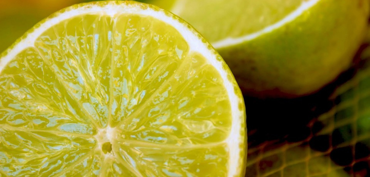 No botes los limones secos: especialista reveló diversos usos prácticos para este fruto cítrico