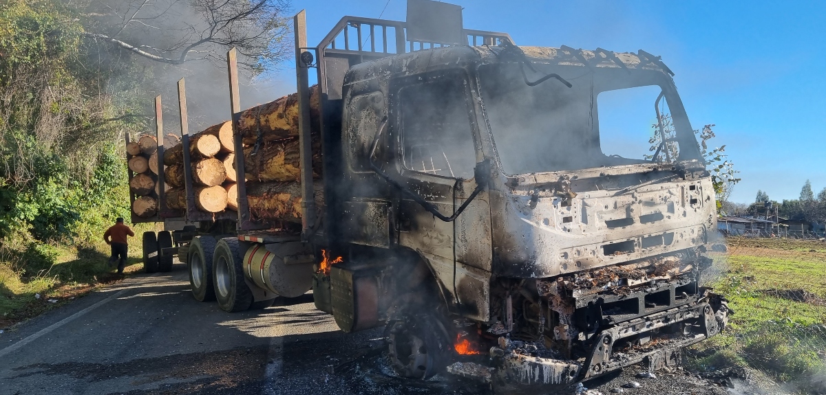 Inédito fallo ordena al Gobierno proteger a víctimas de violencia rural en la provincia de Arauco