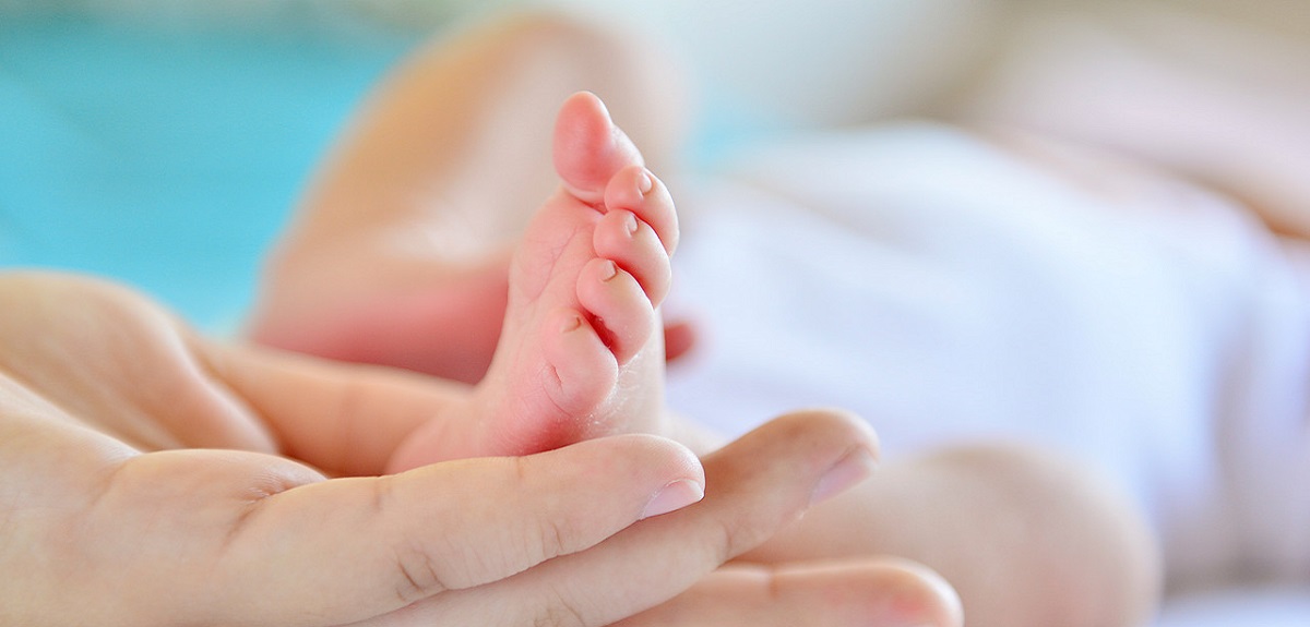 Rescatan a bebé recién nacida desde un desagüe en la India: grupo de gatos cumplió increíble papel