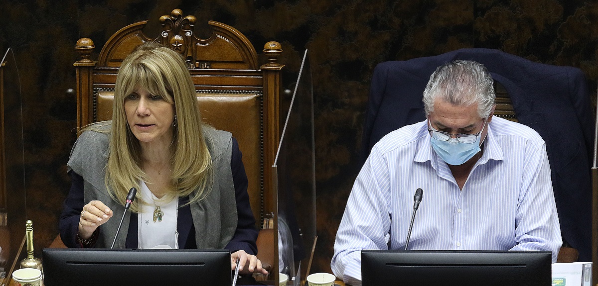 Senadores de oposición solicitan extender vigencia de pasaportes y cédulas de identidad vencidas