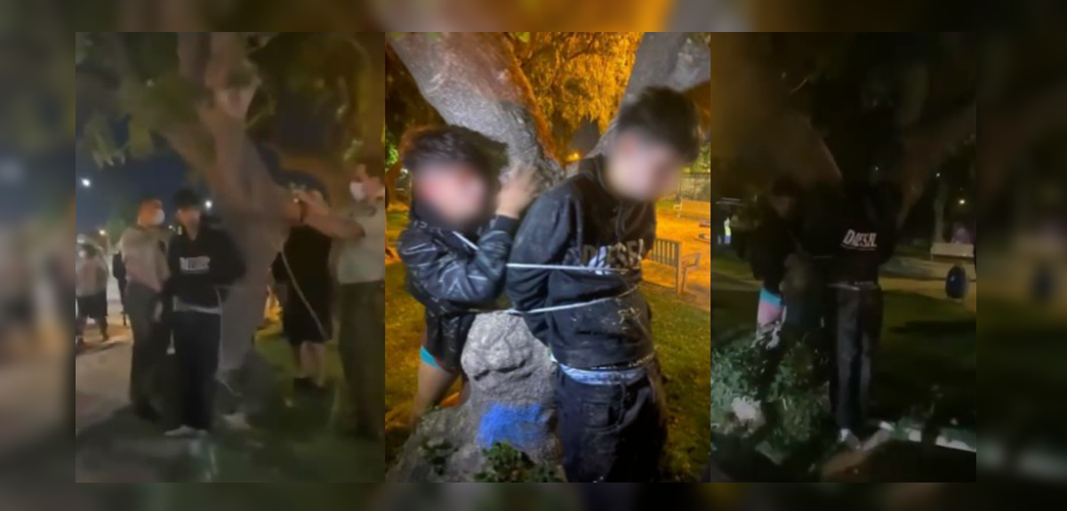 Vecinos de Maipú golpearon y amarraron a un árbol a dos sujetos que intentaron realizar un portonazo