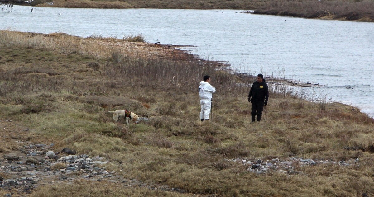 Niño fue hallado muerto en humedal de Laguna Verde: familia lo reportó desaparecido 4 horas antes