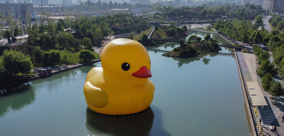 Patito de Hule tiene su próximo destino: Festival Hecho en Casa llega esta semana a Iquique