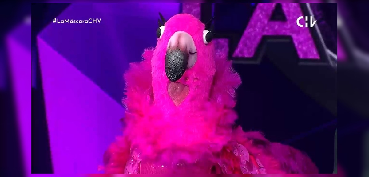 Inesperada diva bajo el disfraz del Flamenco impactó a los televidentes en '¿Quién es la máscara?'