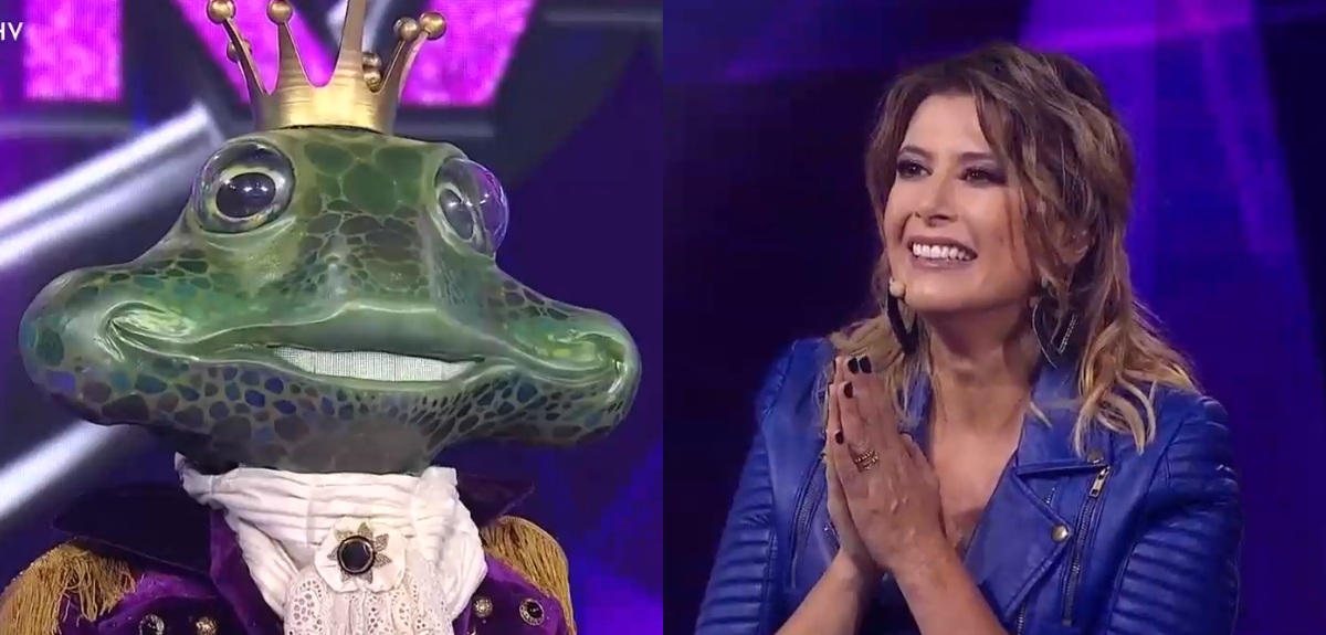 Destacado cantante era el 'Sapo' en 'La Máscara': Maca Pizarro fue la única que acertó su identidad