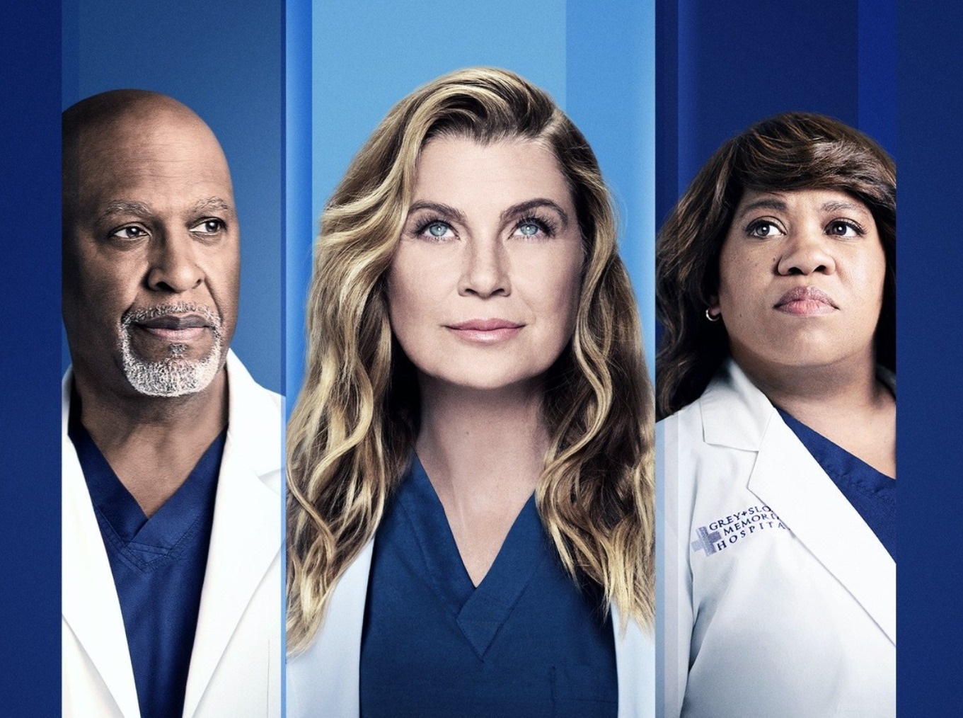 Grey's Anatomy médicos reales