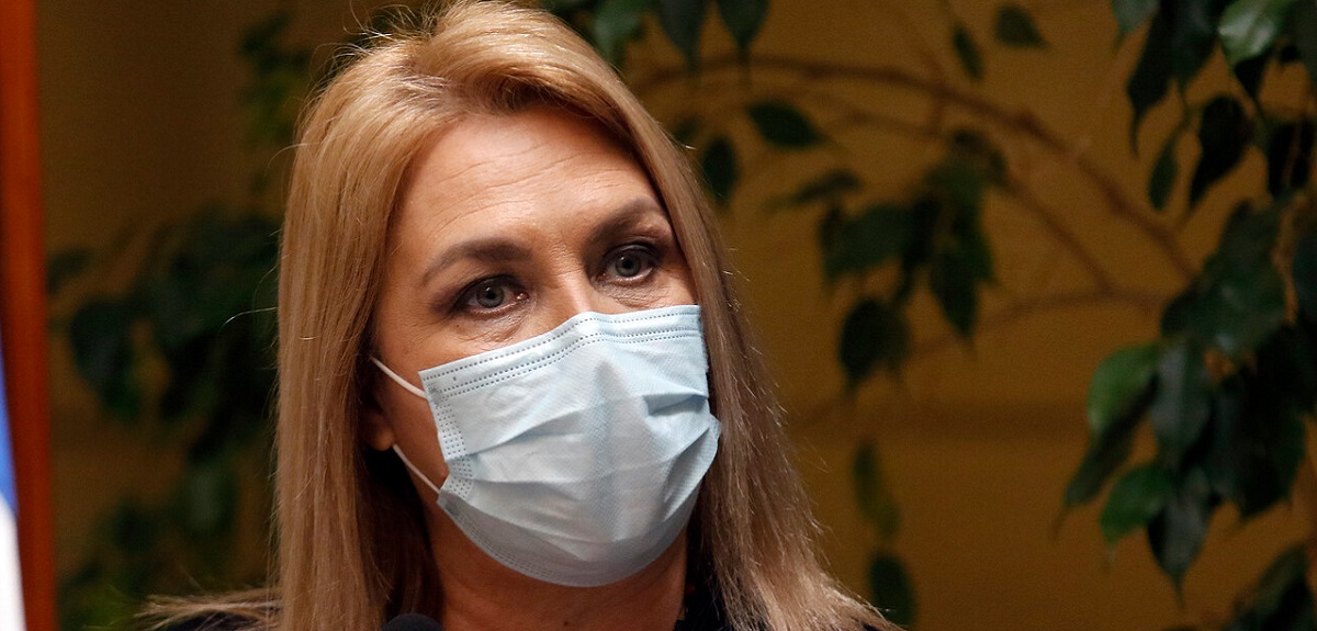 Pamela Jiles emplazó a Gabriel Boric a presentar proyecto de quinto retiro 