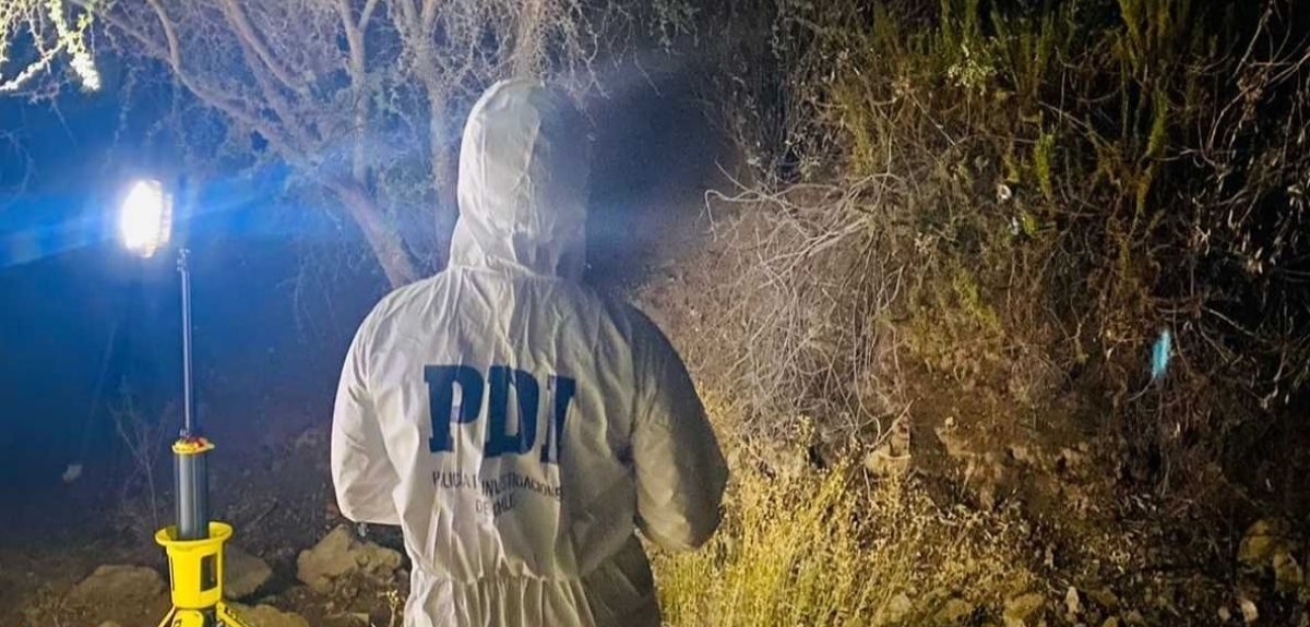Encuentran cuerpo de joven desaparecido hace más de 2 semanas en Monte Patria: estaba sobre un árbol