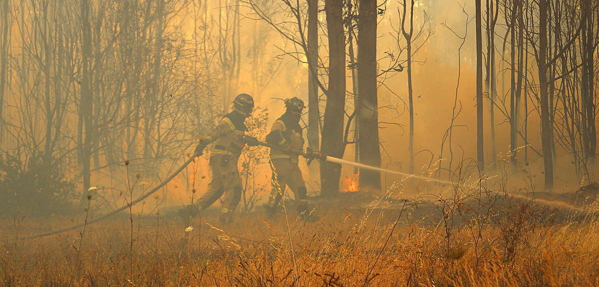 Gobierno decreta Emergencia Agrícola en Quillón por incendio forestal y anuncia ayuda a damnificados