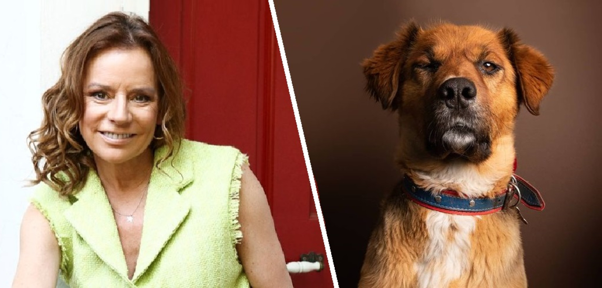 La especial invitación de Kathy Salosny a Brownie, el primer perro presidencial