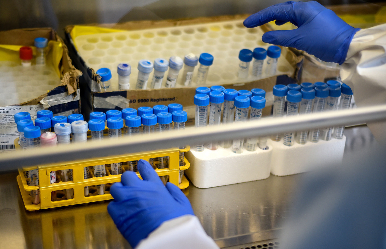 Nuevo caso de variante ómicron en la región de Valparaíso: es contacto estrecho de primer contagio