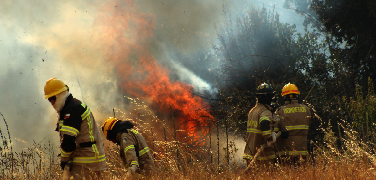 Onemi declara Alerta Roja para Lumaco y Carahue en La Araucanía por incendio forestal