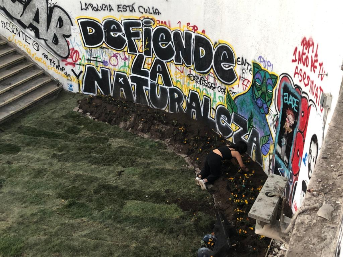 pasto plaza baquedano