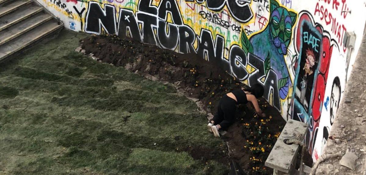 Manifestantes retiraron pasto de plaza Baquedano y lo instalaron en el ingreso al Metro