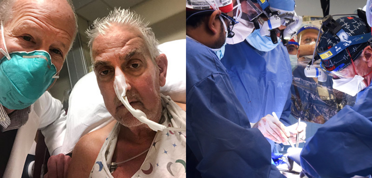 Realizan histórico trasplante de un corazón de cerdo a hombre: “Ha sido una cirugía revolucionaria