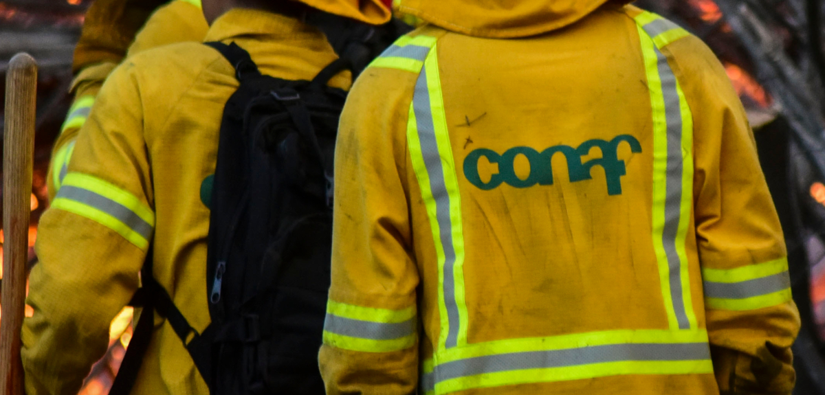 CONAF expulsó a dos turistas canadienses por violar normativa del Parque Nacional Queulat