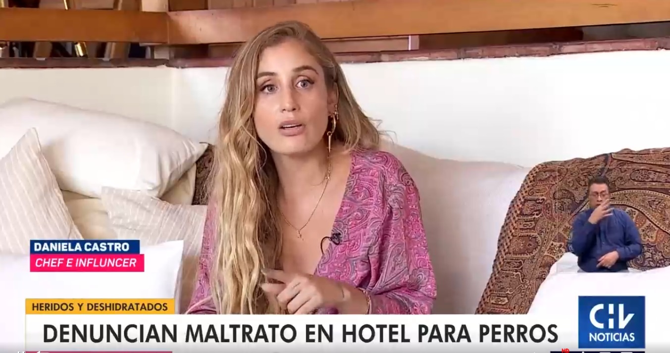 Daniela Castro hotel canino