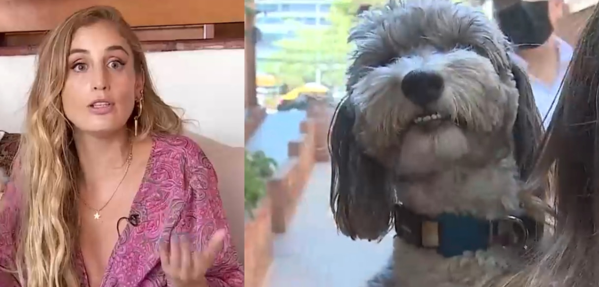 Denuncian maltrato en hotel para perros: Daniela Castro también vivió mala experiencia