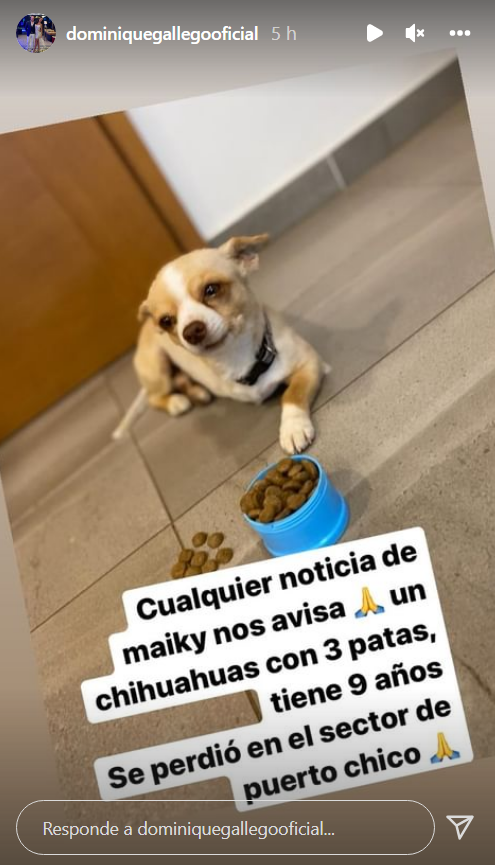 Dominique Gallego y Rodrigo Wainraihgt viven angustiante momento familiar: pidieron ayuda