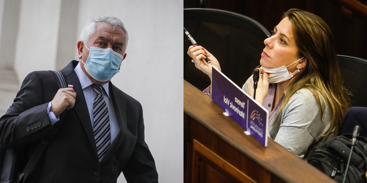 Ministro Paris cuestionó a Marinovic al no usar mascarilla en Convención: 