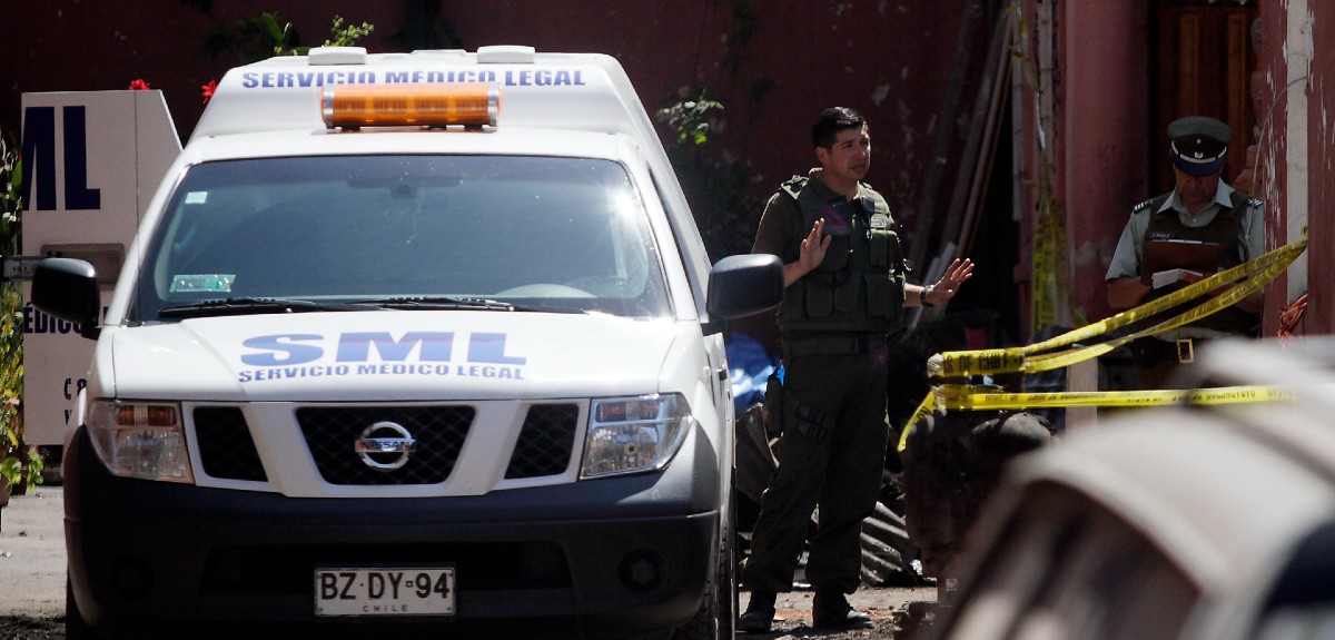 Mujer murió tras ser atacada por cinco perros en Valparaíso: devoraron su brazo y parte de su pierna