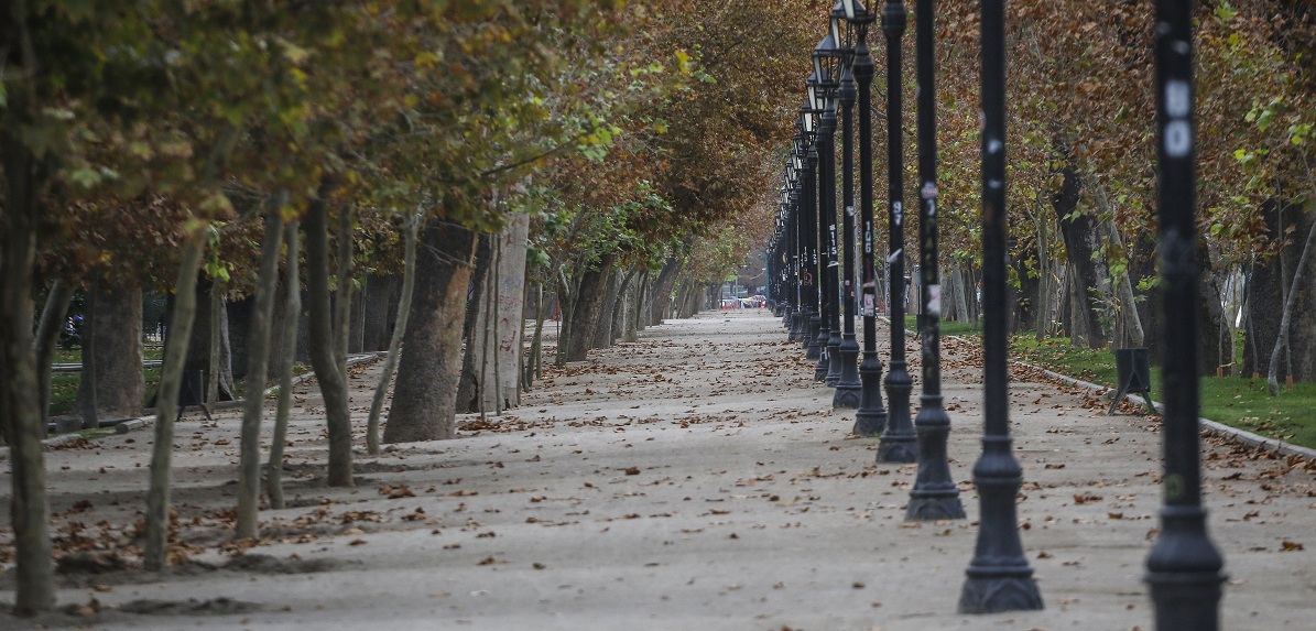 Niño de 1 año 8 meses fue hallado caminando solo en Parque Forestal: taxista lo encontró a las 4 AM